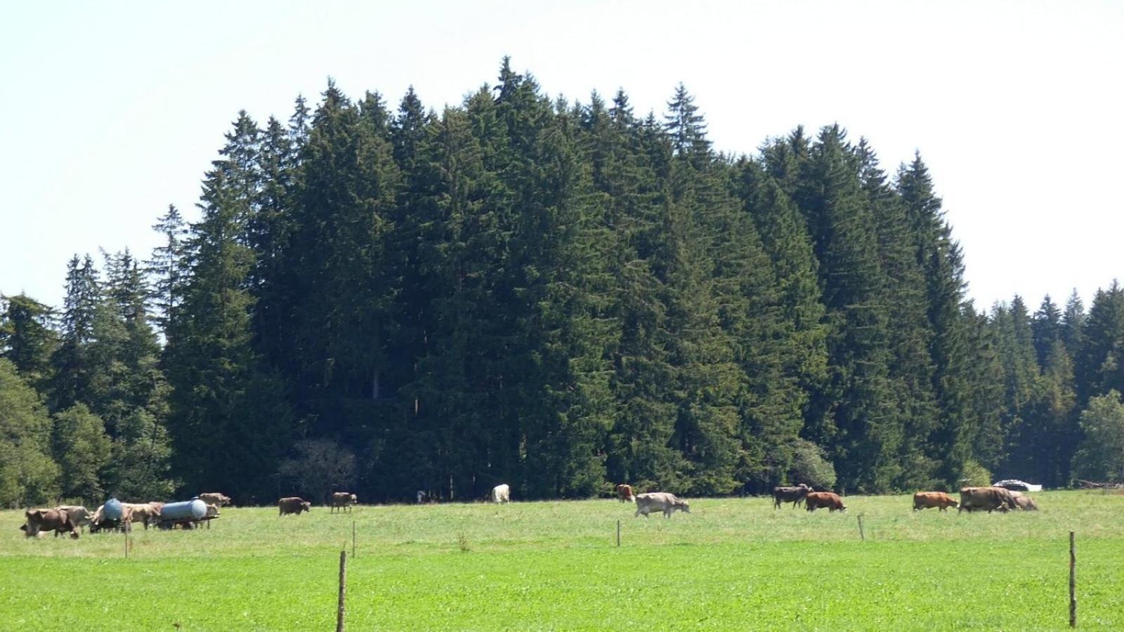 Ferienwohnung Nr 5, Lechbruck-Gruendl, Allgaeu Prem Екстер'єр фото